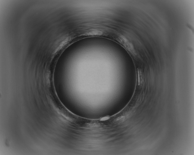 X0000097650300200803071515