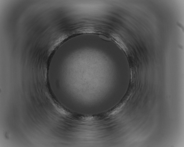 X0000097650301200803071515