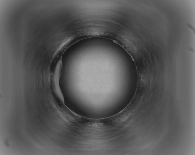 X0000097650304200803071515