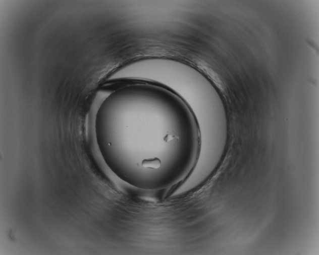 X0000097650305200803071515