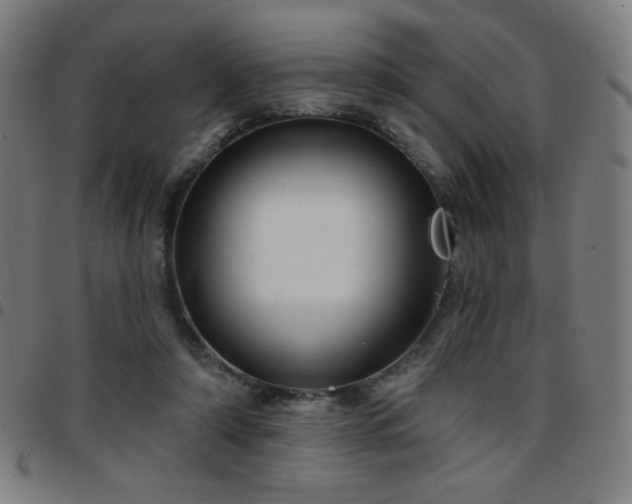 X0000097650306200803071515