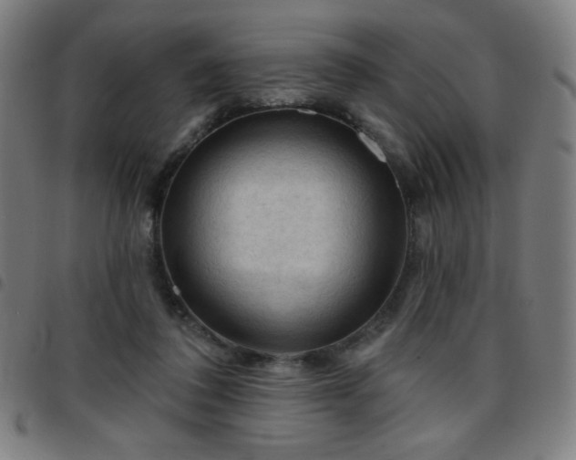 X0000097650308200803071515