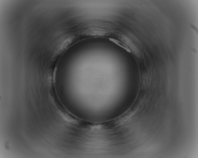 X0000097650309200803071515