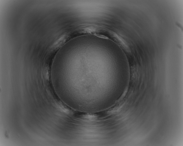 X0000097650313200803071515