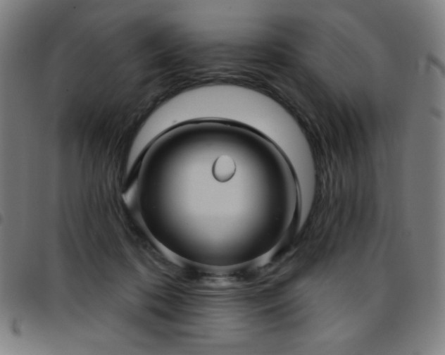 X0000097650316200803071515