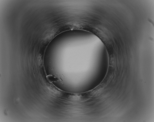 X0000097650318200803071515