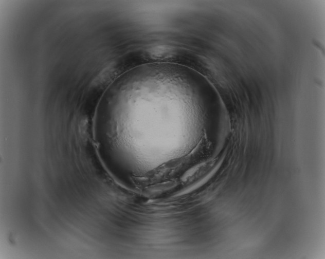 X0000097650319200803071515