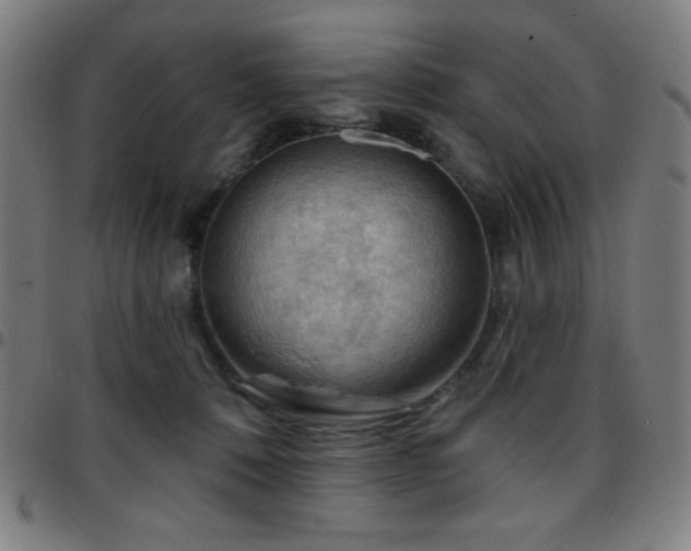 X0000097650320200803071515