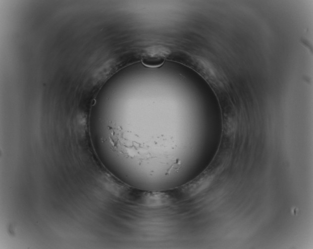 X0000097650321200803071515