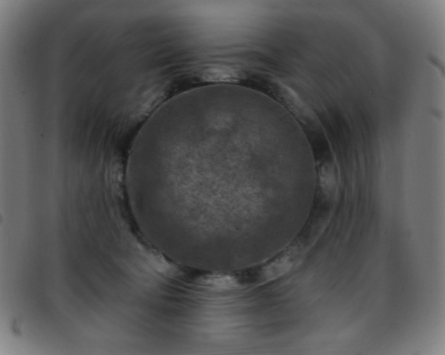 X0000097650322200803071515