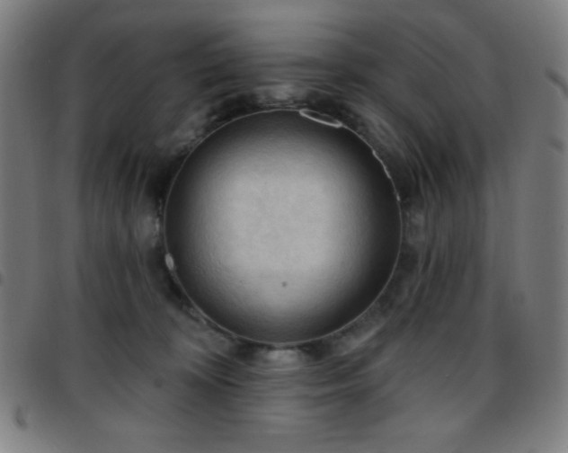 X0000097650324200803071515