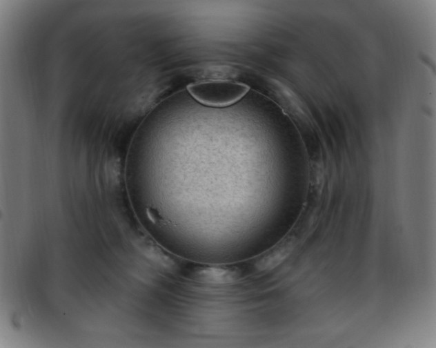 X0000097650326200803071515