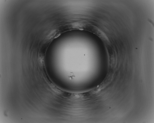 X0000097650329200803071515