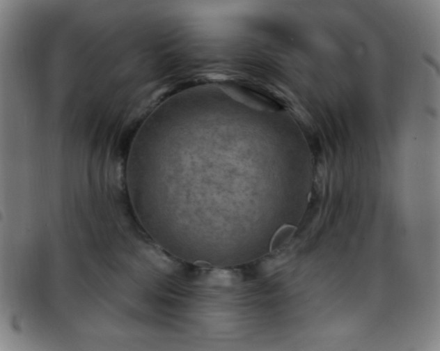 X0000097650330200803071515