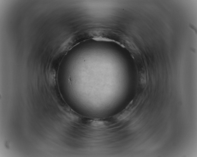 X0000097650332200803071515