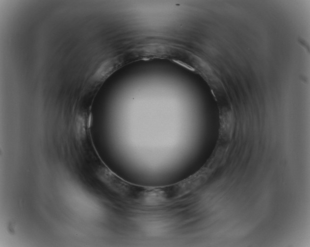 X0000097650333200803071515