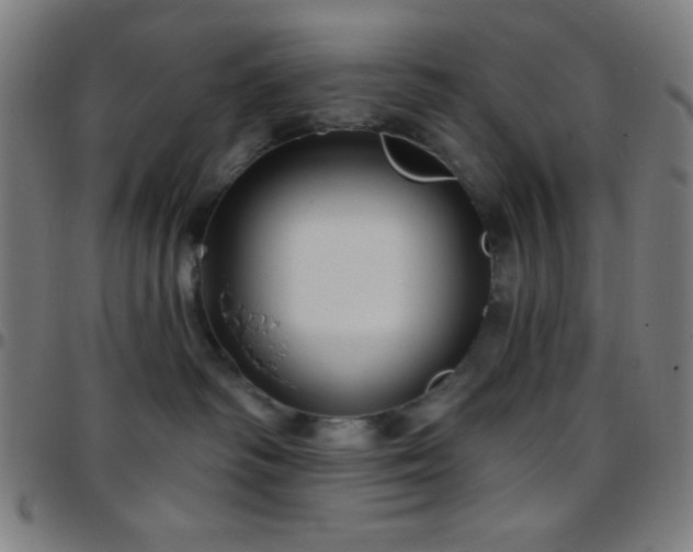 X0000097650334200803071515