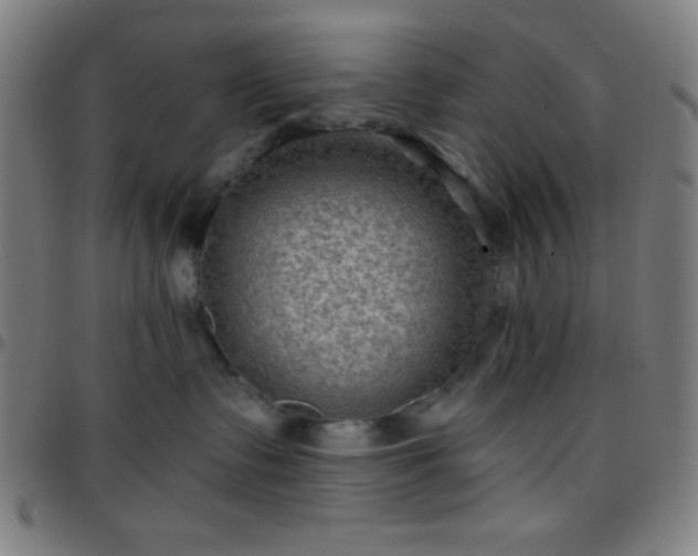 X0000097650335200803071515