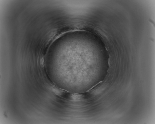 X0000097650336200803071515