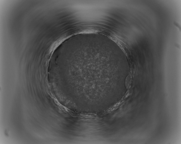 X0000097650337200803071514