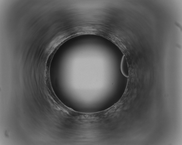 X0000097650338200803071514