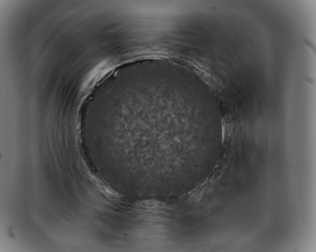 X0000097650339200803071514