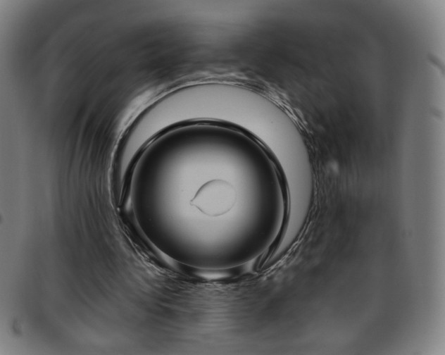 X0000097650340200803071514