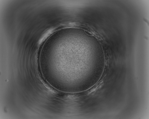 X0000097650341200803071514