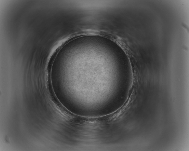 X0000097650342200803071514