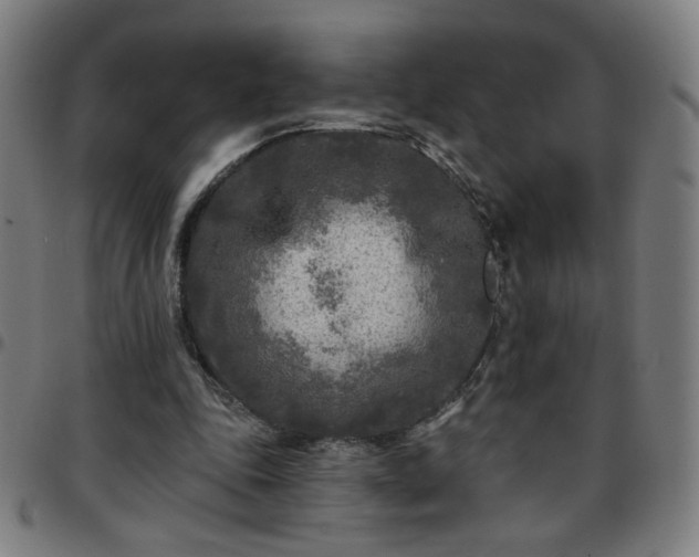 X0000097650343200803071514