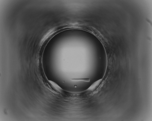 X0000097650344200803071514