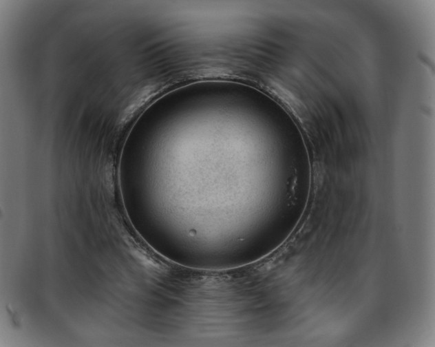 X0000097650345200803071514