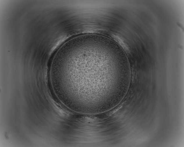 X0000097650346200803071514