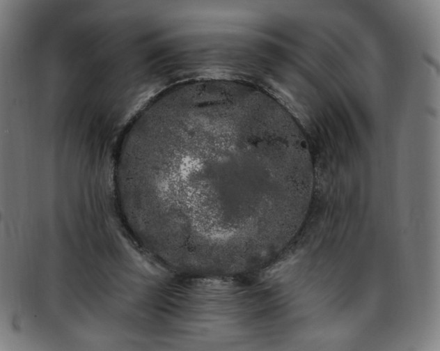 X0000097650347200803071514