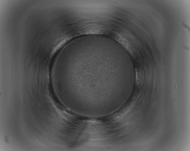 X0000097650348200803071514