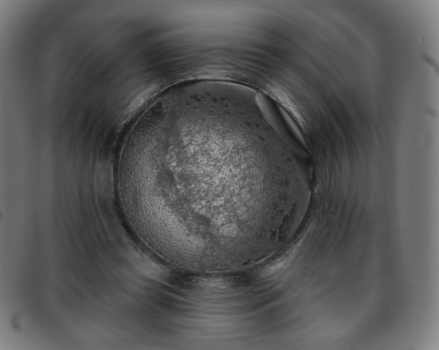 X0000097650349200803071514