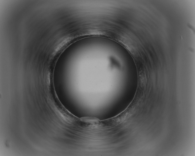 X0000097650350200803071514