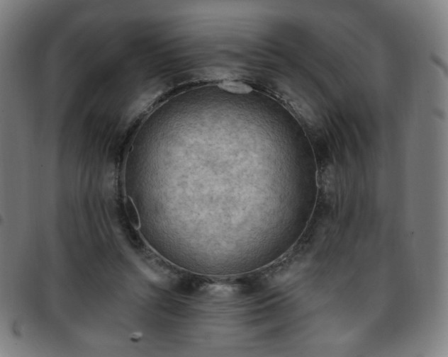 X0000097650352200803071514