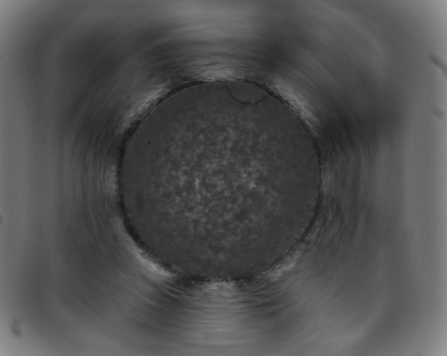 X0000097650353200803071514