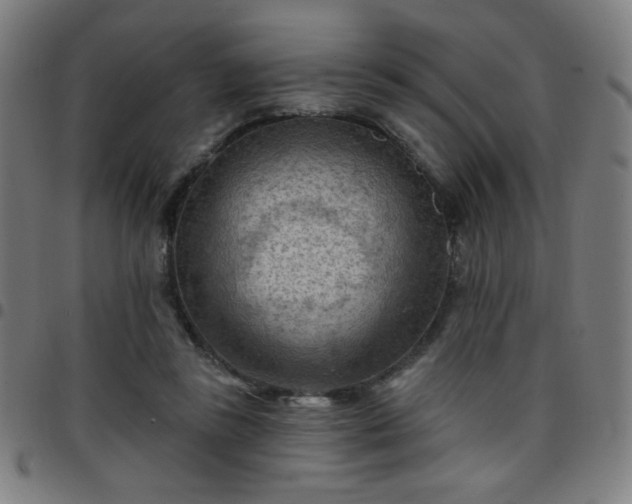 X0000097650355200803071514