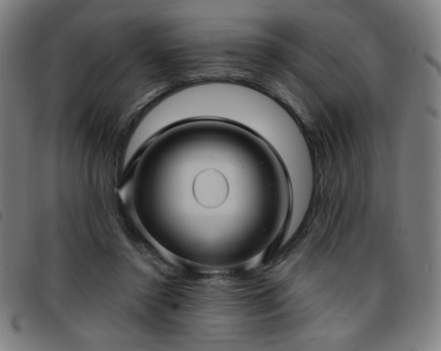 X0000097650356200803071514