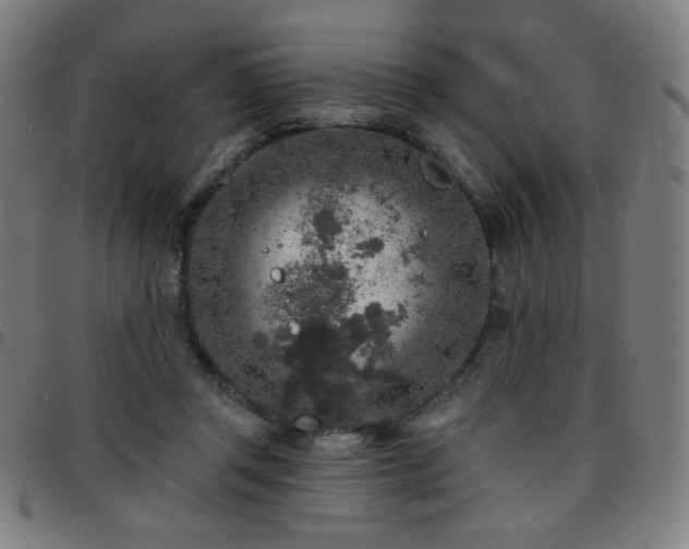 X0000097650357200803071514