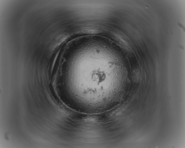 X0000097650358200803071515