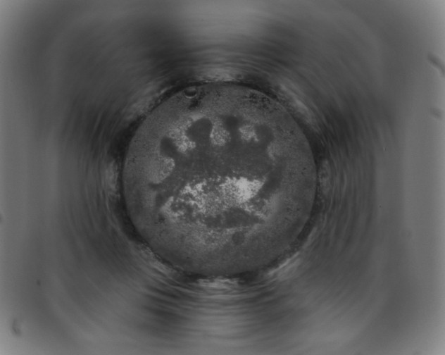 X0000097650359200803071515