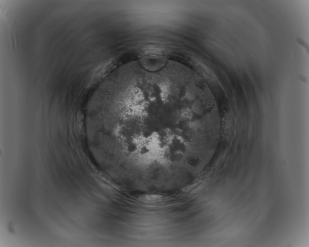 X0000097650361200803071515