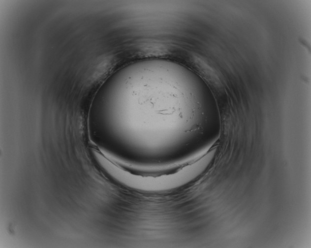 X0000097650362200803071515