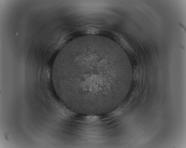 X0000097650363200803071515