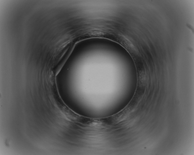 X0000097650364200803071515