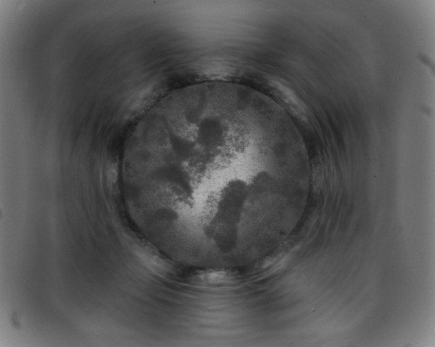 X0000097650365200803071515