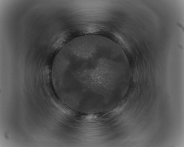 X0000097650366200803071515